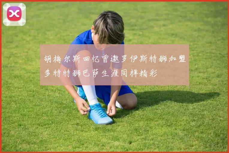 胡梅尔斯回忆曾邀罗伊斯特狮加盟多特特狮巴萨生涯同样精彩